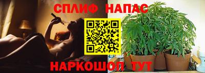 гидропоника Апшеронск