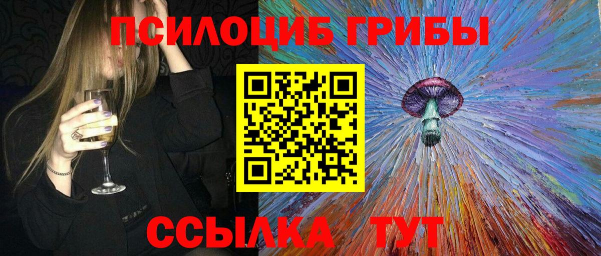 Псилоцибиновые грибы прущие грибы  Вход с VPN  Ачхой-Мартан 